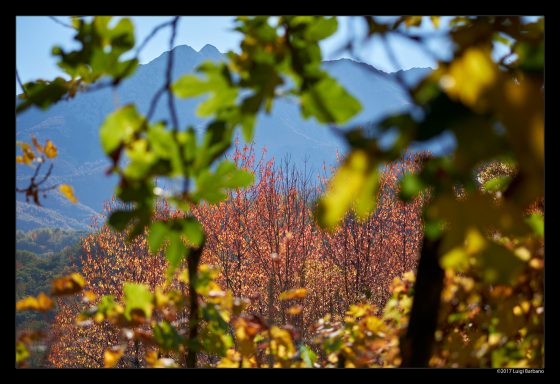 End of the year, time for balance and resolutions