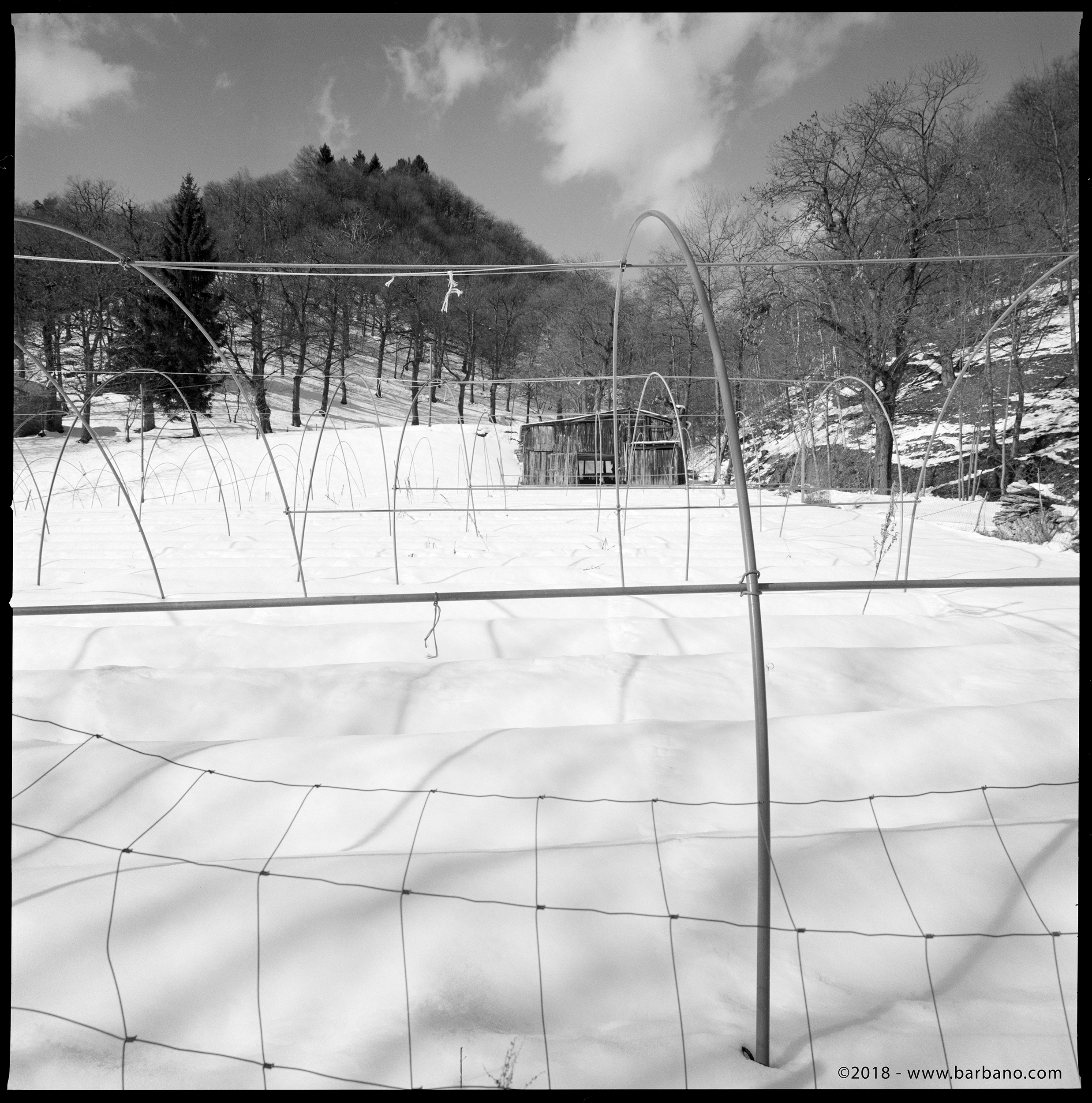 Hasselblad 903 SWC - 1/125 f11 - Fujifilm Acros 100