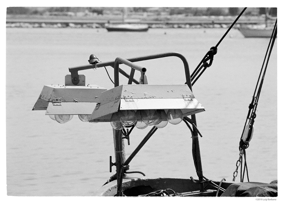 Black and White Tales #1