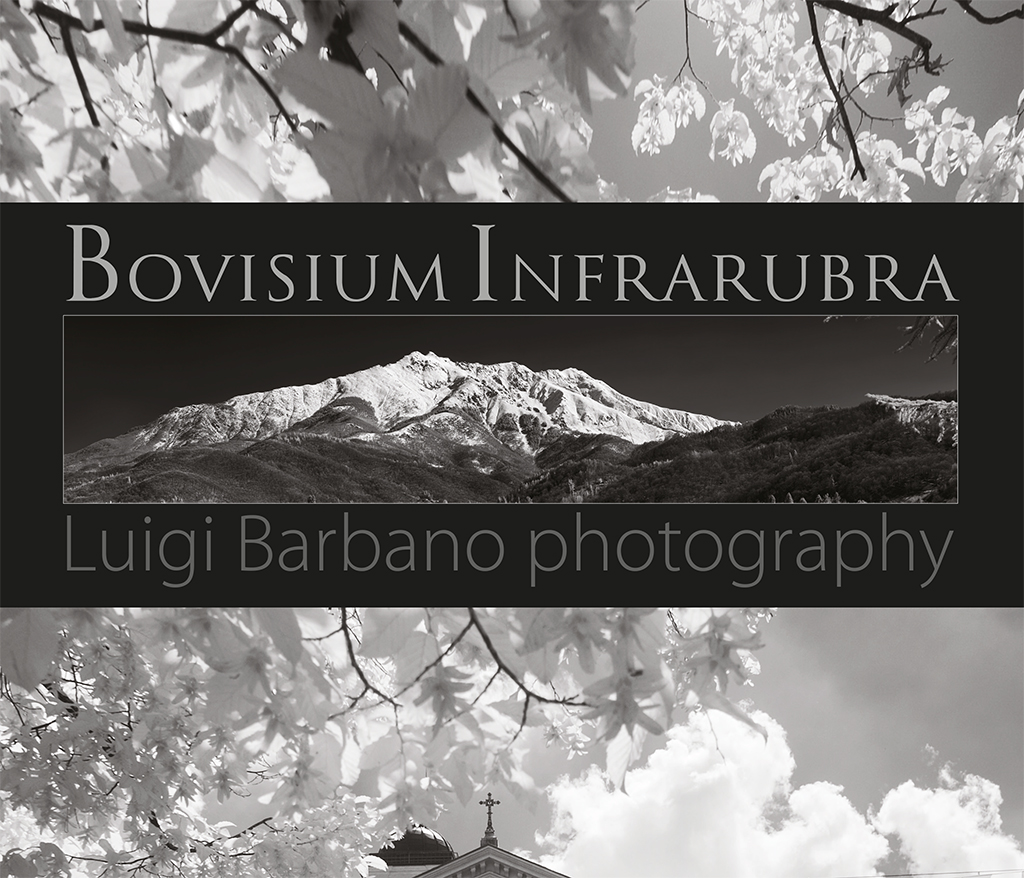 Bovisium Infrarubra